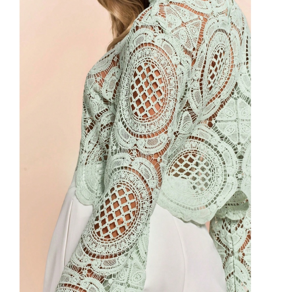 High Neck Floral Semi Sheer Flared Sleeve Cropped Top - Picture 5 of 9